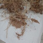 WhatsApp Image 2026-04-17 at 23.52.12 (2)