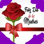 IMG_95597cd0-b3c9-4911-92ad-9f1f6f7c52fe